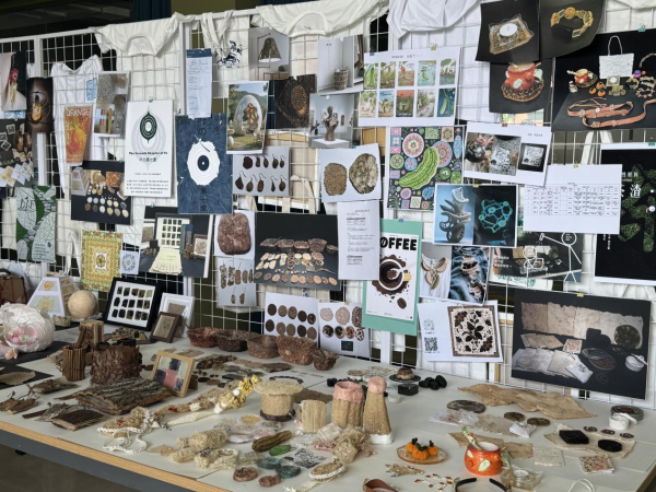 格物致知，行合为一 2024级视觉传达设计专业课程联展——数字文化创意内容应用服务新篇章